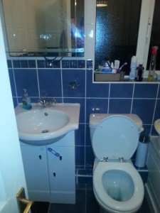 tiling bray renovation