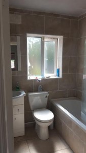 bray bathroom renovation