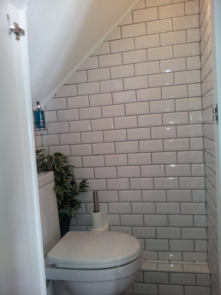 downstairs toilet ideas
