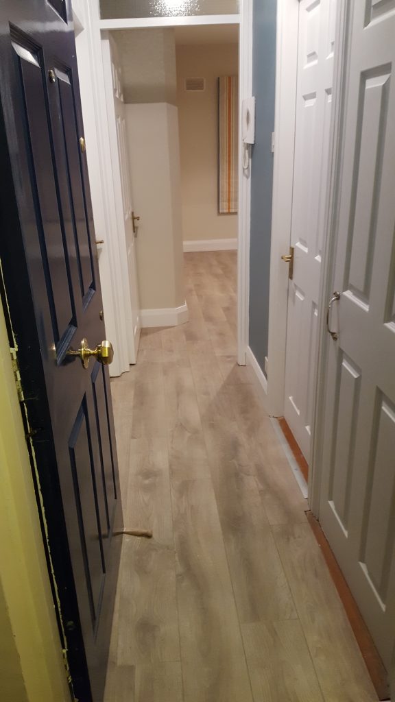 renovation apartment dublin